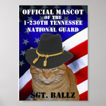 SGT. BALLZ COMMAND PHOTO PRINT