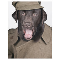 Sgt Labrador Flyers