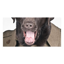 Sgt Labrador Photo Cards