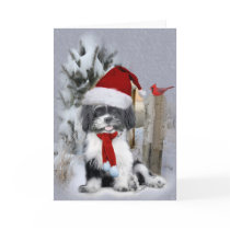 Sgug Tzu winter scene cards by friskybiz Sgug Tzu winter scene cards