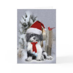 Sgug Tzu winter scene Card