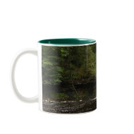 Sgwd Gwladys Waterfall 1 mug