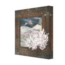 Shabby Chic pink scenic blossom 12x12 canvas print