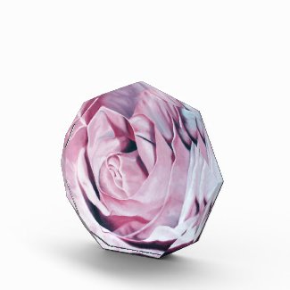 Shabby chic vintage romantic elegant pink roses awards