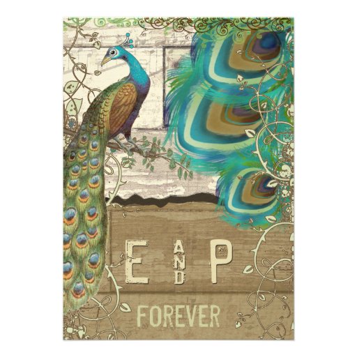 Shabby Country Peacock Vintage 3 Feathers Old Wood Announcement