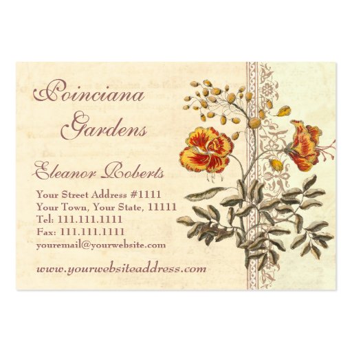 Shabby Elegance Vintage Poinciana Flowers Business Card Templates (front side)