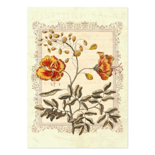 Shabby Elegance Vintage Poinciana Flowers Business Card Templates (back side)