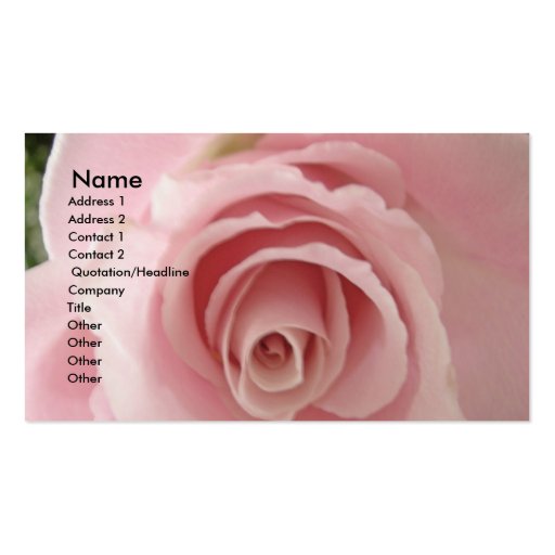 Shabby Sweet Rose Business Cards