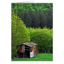Shack