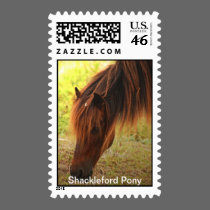 Shackleford Pony Postage Stamp stamps