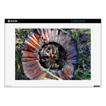 Shaddy Blackboy ring 15" Laptop Skins
