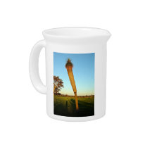 Shaddy grass girl plant in garden beverage pitchers