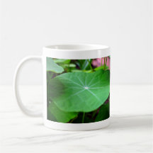 Shaddy Nasturtium leaf Coffee Mug