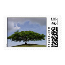 shade postage