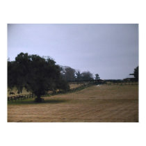 Shade posters by TeaAira5 Shade posters