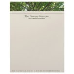 Shade Tree Letterhead 3