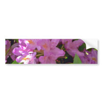 Shaded Pink Azalea Cluster flowers Bumper Sticker