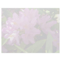 Shaded Pink Azalea Cluster flowers Letterhead Template