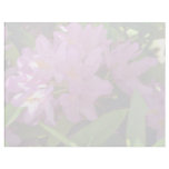 Shaded Pink Azalea Cluster flowers Letterhead Template