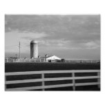 Shaded Skies 10x8 Photographic Print