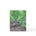 Shades Note Card