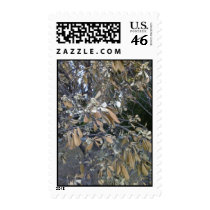 Shades of Autum Stamps