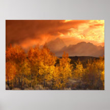 Shades Of Autumn Art Mural Posters