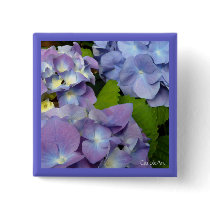 "Shades of Blue Hydrangeas" buttons by Fashion_Floral "Shades of Blue Hydrangeas" buttons