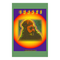 Shades posters