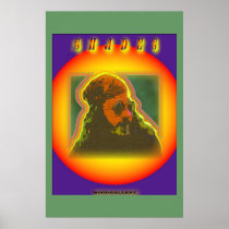 Shades Poster