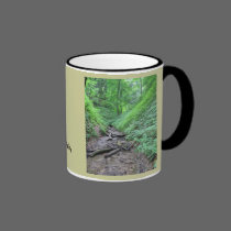 Shades State Park Mug mugs