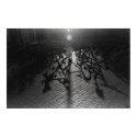 Shadow bikes posters