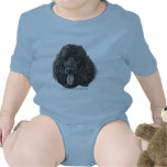 Shadow, Black Standard Poodle Creeper