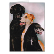 "Shadow, Bo and Chance" cards