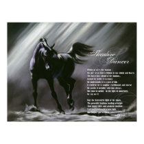 Shadow Dancer posters