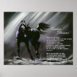 Shadow Dancer Poster