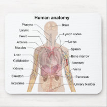 Shadow Diagram of the Human Anatomy Mouse Pads