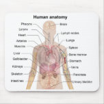 Shadow Diagram of the Human Anatomy mousepads