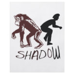 Shadow flyers