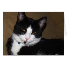 Shadow Greeting Cards