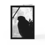 Shadow Hawk Card