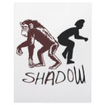Shadow letterhead