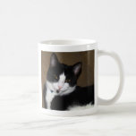 Shadow Mugs