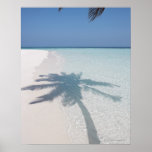 Shadow of a palm tree on a deserted island beach posters