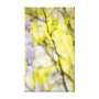 shadow of a tree in an old wall wrappedcanvas
