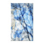 shadow of a tree in an old wall wrappedcanvas
