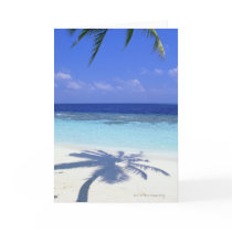 Shadow of Palm Tree Card