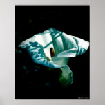 shadow of something better print