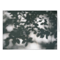 Shadow Patterns cards