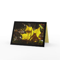 Shadow Play cards by MoiraAshleigh Shadow Play cards